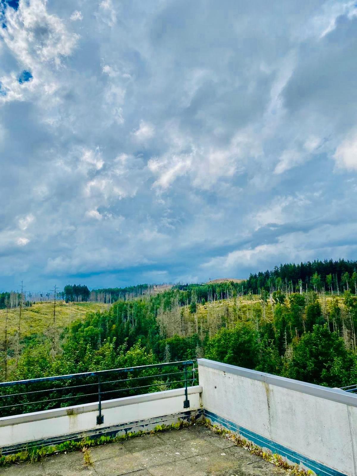 Terrassenhaus Im Harz, Pool, Sauna, Wlan Braunlage Buitenkant foto