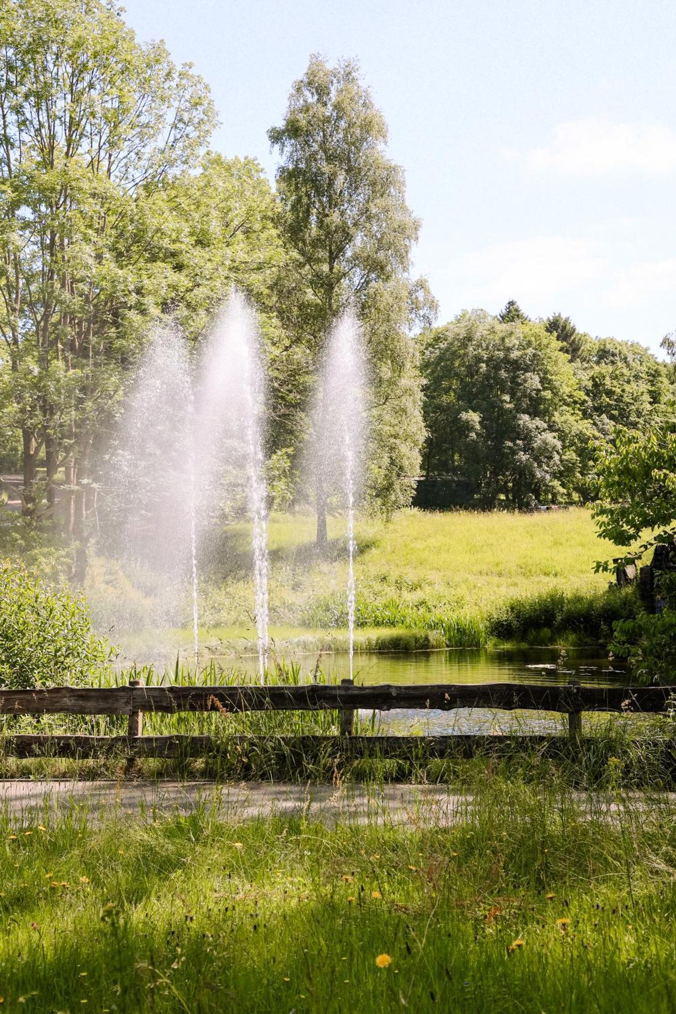 Terrassenhaus Im Harz, Pool, Sauna, Wlan Braunlage Buitenkant foto