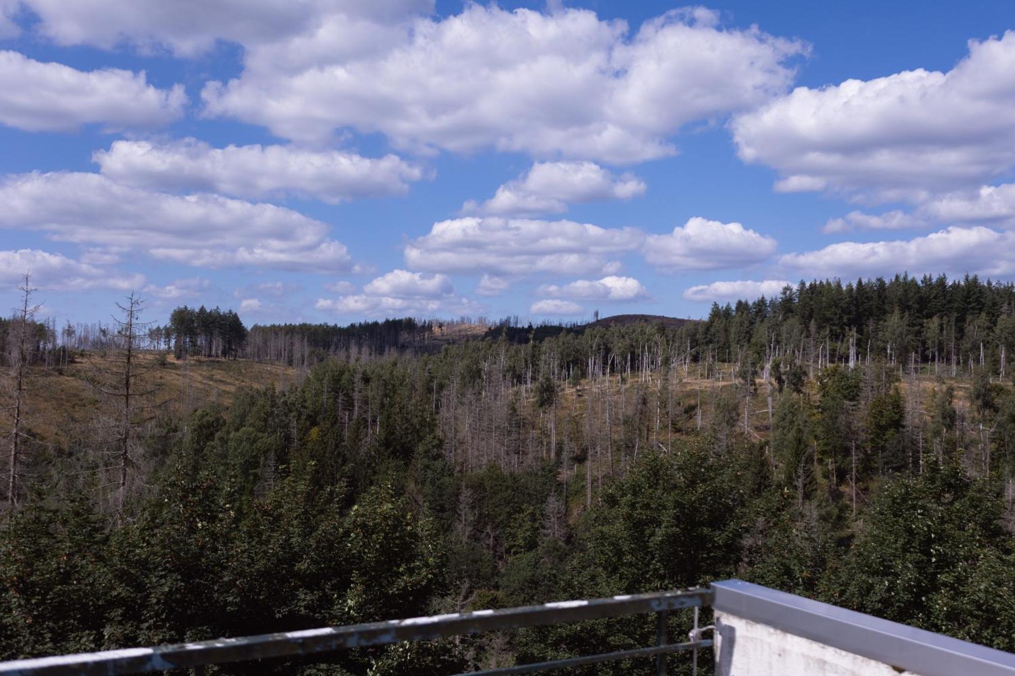 Terrassenhaus Im Harz, Pool, Sauna, Wlan Braunlage Buitenkant foto
